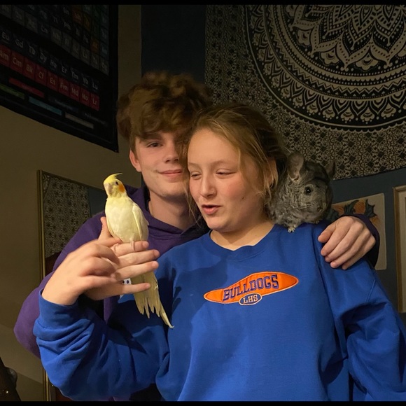 austinhawker
